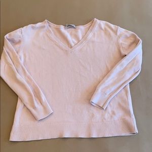 Everlane 100% Cotton V-Neck Sweater